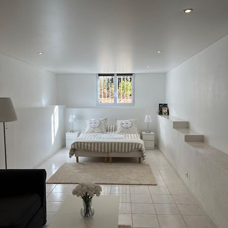 T3 Avec Jardin Et Piscine Privee Velaux Exterior foto